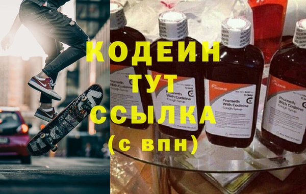 соль ск Кукмор