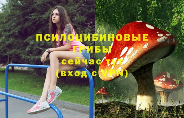 метадон Куйбышев