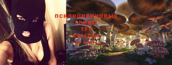 соль ск Кукмор