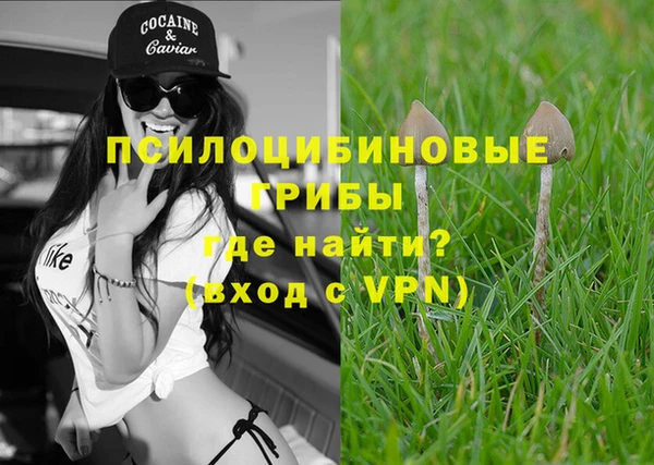 соль ск Кукмор