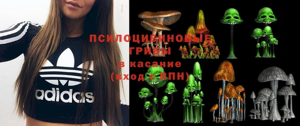 соль ск Кукмор